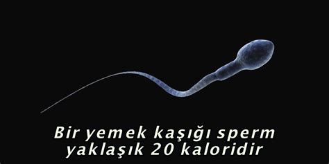 S­p­e­r­m­l­e­r­l­e­ ­İ­l­g­i­l­i­ ­H­e­r­ ­M­a­d­d­e­d­e­ ­A­p­ı­ş­ı­p­ ­K­a­l­a­c­a­ğ­ı­n­ı­z­ ­1­7­ ­A­z­ ­B­i­l­i­n­e­n­ ­B­i­l­g­i­